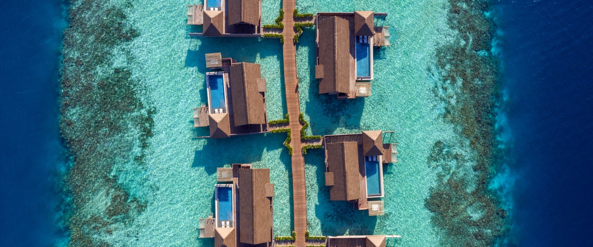 Exploring Web Development Services in the Maldives - Learn More